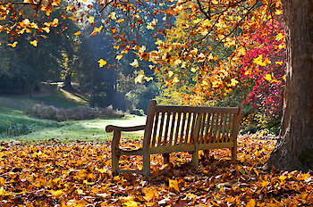 Herbsturlaub im Bayerischen Wald